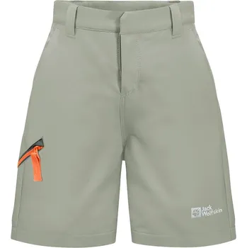 Chlapecké kalhoty Jack Wolfskin Salbei 7565536 164