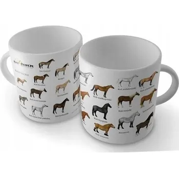 HRNEK - KONĚ SOLITON