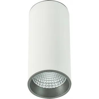 Italux SLC7392/WH+GR LED stropní bodové svítidlo Moldes 1x12W | 820lm | 4000K + K nákupu nad 3000 Kč dárek zdarma