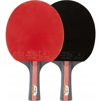 Stolní tenis Raketa na stolní tenis Double Fish CK-205