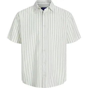 Pánská košile Košile Jack & Jones Hellgrün 220731 L