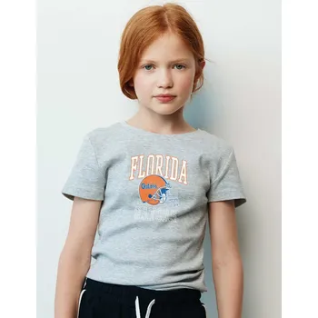 Tričko American Universities Grau 3026324 152