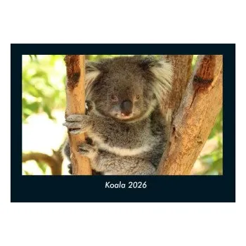 Diář Koala 2026 Fotokalender DIN A4 (DE)