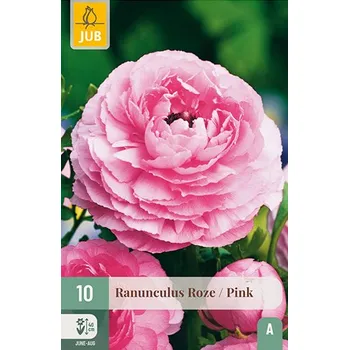 Zahradní sestava Pryskyřník Pink (10 cibulí) Ranunculus