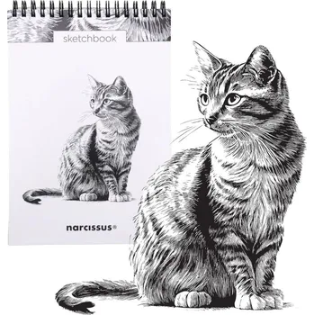 Skicář Peter Pauper Press A5 60 ks