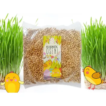 Velikonoční dekorace Osení jarní velké balení zelené