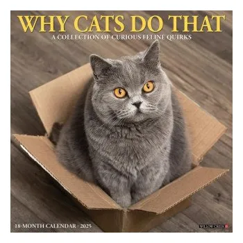 Kalendář Why Cats Do That 2026 12 X 12 Wall Calendar (Kalendář)