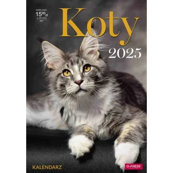 Kalendář Kalendarz 2025 Ścienny A3 Koty (Brožovaná)