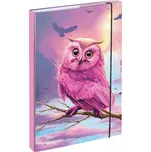 BAAGL Desky na školní sešity A4 Sova