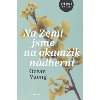 Na Zemi jsme na okamžik nádherní - Ocean Vuong