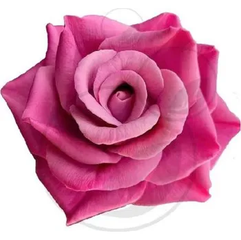 Mýdlo Silikonová forma na mýdlo a svíčku 3D růže XXII.