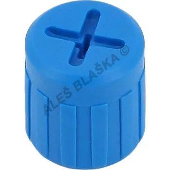 Instalatérský materiál ATLAS FILTRI - Itálie | Odvzdušňovací ventilek modrý 3P s "O" kroužkem k filtru Atlas (vodní filtr-filtrace vody) odvzdušňovací ventilek modrý 3P