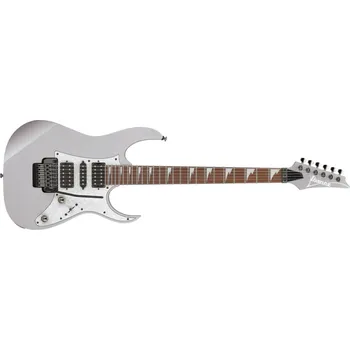 Hudební nástroj Ibanez RG450DX-CSV - Classic Silver Limited Edition