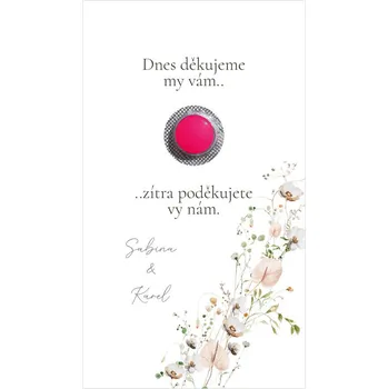 Krabička na výslužku Kartička na ibalgin 359