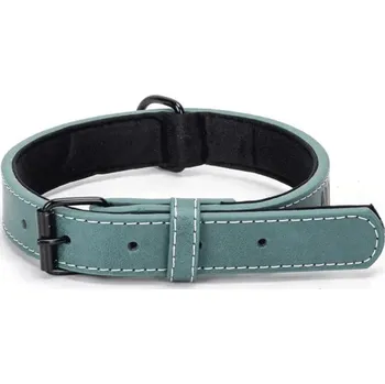 Obojek pro psa Obojek Nobleza s přezkou pro psa S (š. 2,5 cm x d. 52 cm) - 3 barvy Barva: Zelená