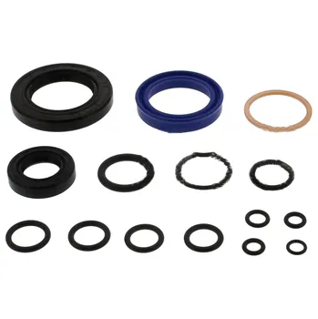 Těsnění sada kompletní paletový vozík Jungheinrich AM22