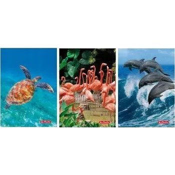 Sešit A5, linkovaný, Herlitz, 16 listů