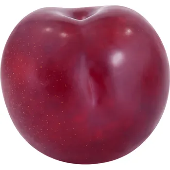 Ovoce Bluma tmavá, cca 100g