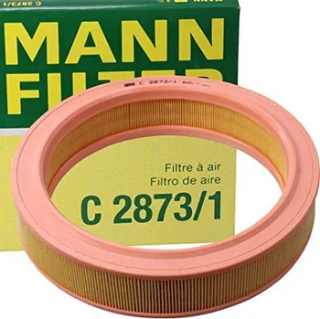 Filtr vzduchu C 2873/1