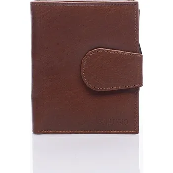 Dámská kožená peněženka Leather Dream in Tan