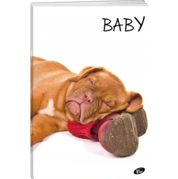 Sešit Sešit linkovaný A5 Elisa 32 listů