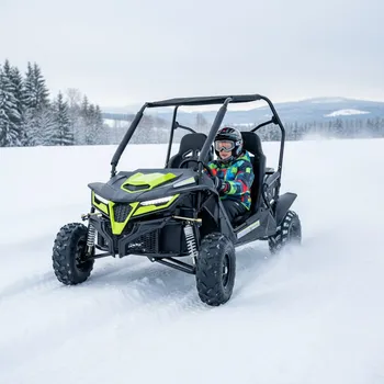 Leramotors Super Buggy 208ccm zelená