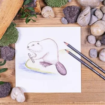 Pastelka Akvarelové Pastelky Staedtler 12 ks