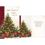 MFP V24-478 H vánoční přání