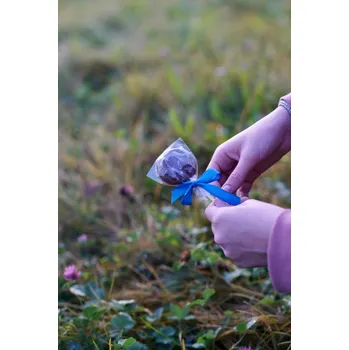 Čokoláda Míšina čokoláda Čokoládové lízátko mléčné