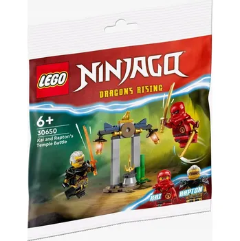 Stavebnice LEGO Stavebnice Lego Ninjago 30650 Bitva Kaie a Raptona u chrámu
