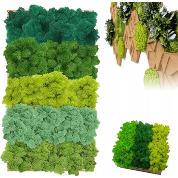 Obraz Dekorativní mech chrobotek sobí Scandinavian Moss 300 g zelený