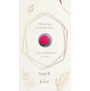 Krabička na výslužku Kartička na ibalgin 357