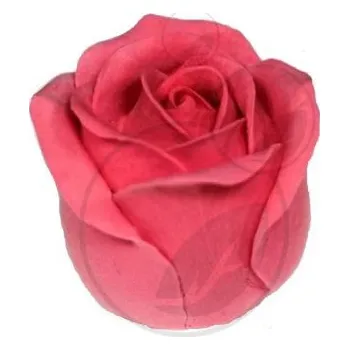 Mýdlo Silikonová forma na mýdlo a svíčku 3D růže XIX.