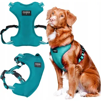 Postroj pro psa CHABA Postroj Guard Comfort Classic S - Mořská modř