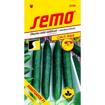 SEMO Okurka salátová 'Avantgarde F1' 10 s