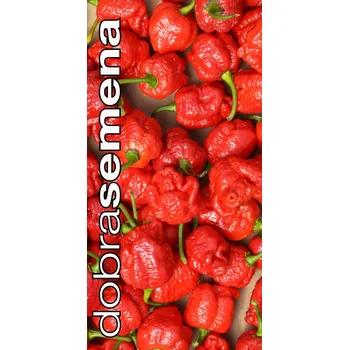 Semeno TRINIDAD SCORPION MORUGA RED - 10 ks