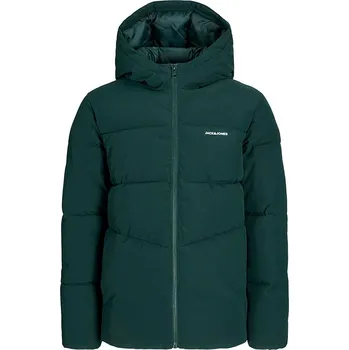JACK & JONES Junior Grün 231370 164