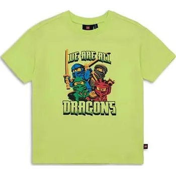 Chlapecké oblečení Tričko LEGO Grün/ Bunt 9284381 134