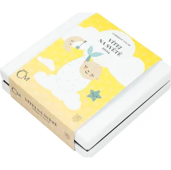 Stříbrný tolar k narození dítěte 2024