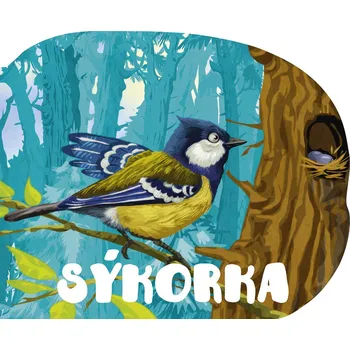 Bystrá hlava Sýkorka