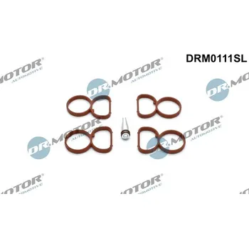 Těsnění motoru Sada těsnění, koleno sacího potrubí Dr.Motor Automotive DRM0111SL