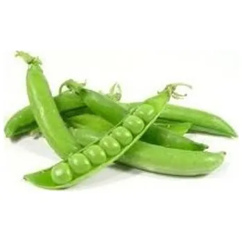 Semeno AGRI Slatinice Hrách dřeňový OSKAR - 500 g