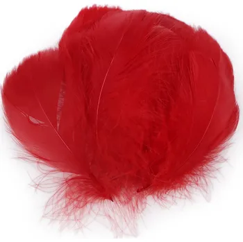 Výtvárné potřeby Pštrosí peří délka 6-11 cm - 20ks Barva: červená