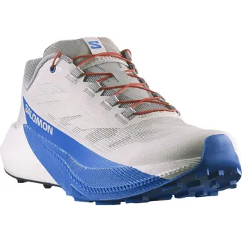 Pánská běžecká obuv Salomon Pulsar M L47973300 - lunar rock white/french blue 42 2/3