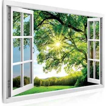 Obraz Malvis ® Obraz okno obrovský strom Velikost: 30x20cm