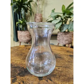 Skleněná nádoba na hyacinty Průhledná váza na cibuli, kořeny ve vodě, cibule v suchu