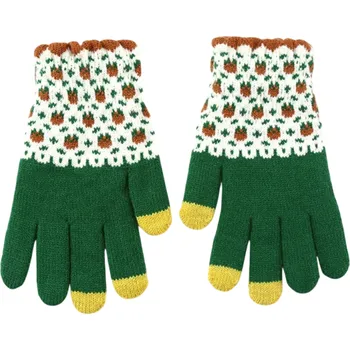 Rukavice Zimní pletené rukavice unisex univerzální velikost Teplé rukavice z polyesteru pro ženy i muže na každodenní nošení zelená