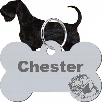 psí známka Adresář, identifikační známka kost ve tvaru kosti Mejk Jewellery stříbrná