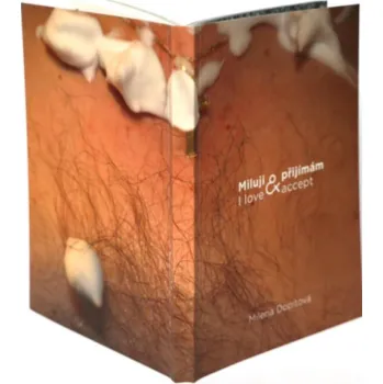 Umění Dopitová Milena