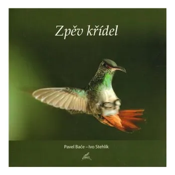 Umění Zpěv křídel - Ivo Stehlík
